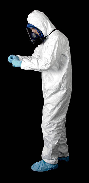 Best Black Mold Removal  in Primera, TX