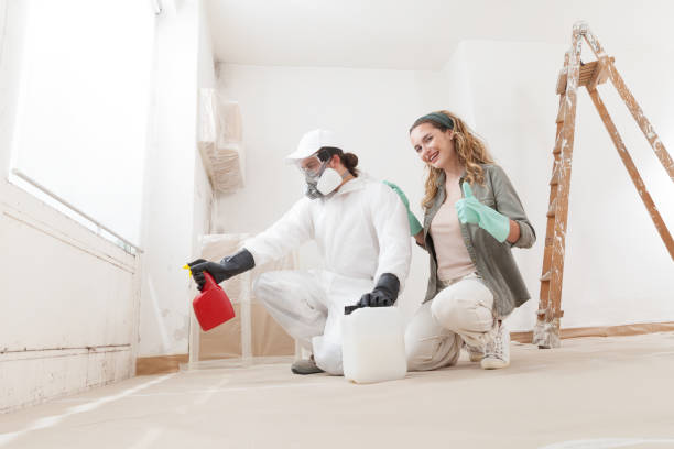 Mold Odor Removal Services in Primera, TX